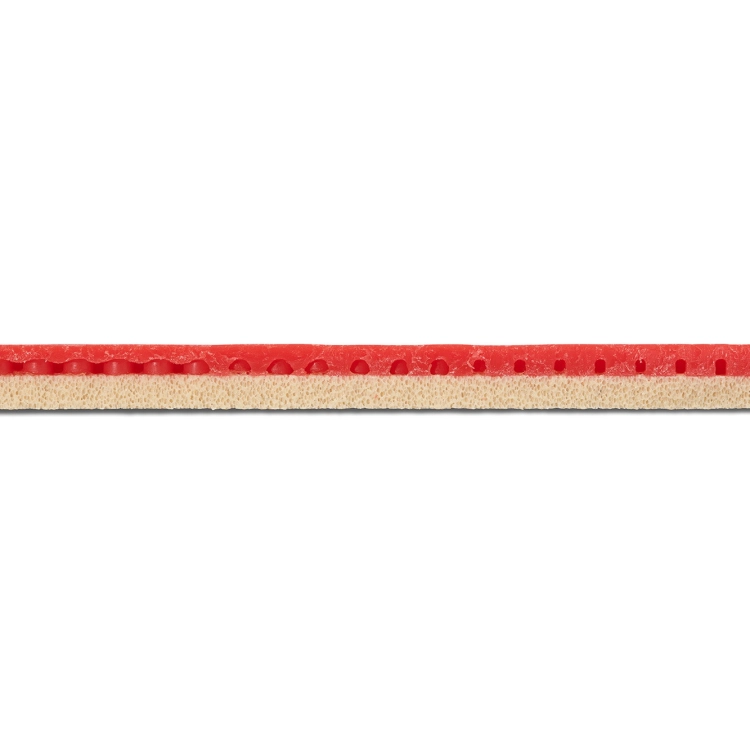 Rakza-X-Soft-02.jpg