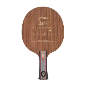 Ma Lin Extra Special